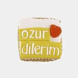 Özür Dilerim Kurabiyesi